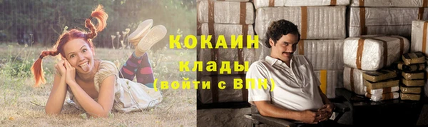 spice Алзамай